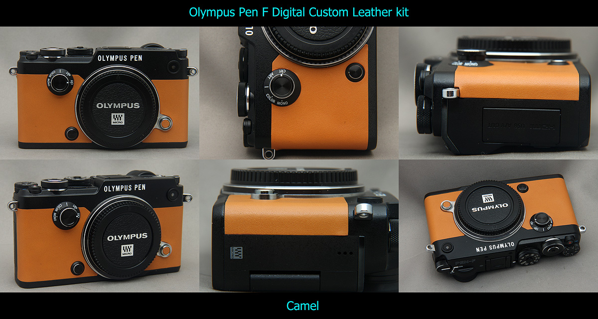 leugenaar alleen plakboek Olympus Pen F Digital Custom Leather kit